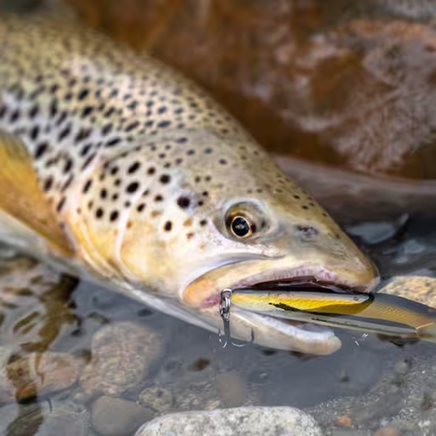 MINNOW HARD LURE FOR TROUT WXM MNWFS US 85 MINNOW